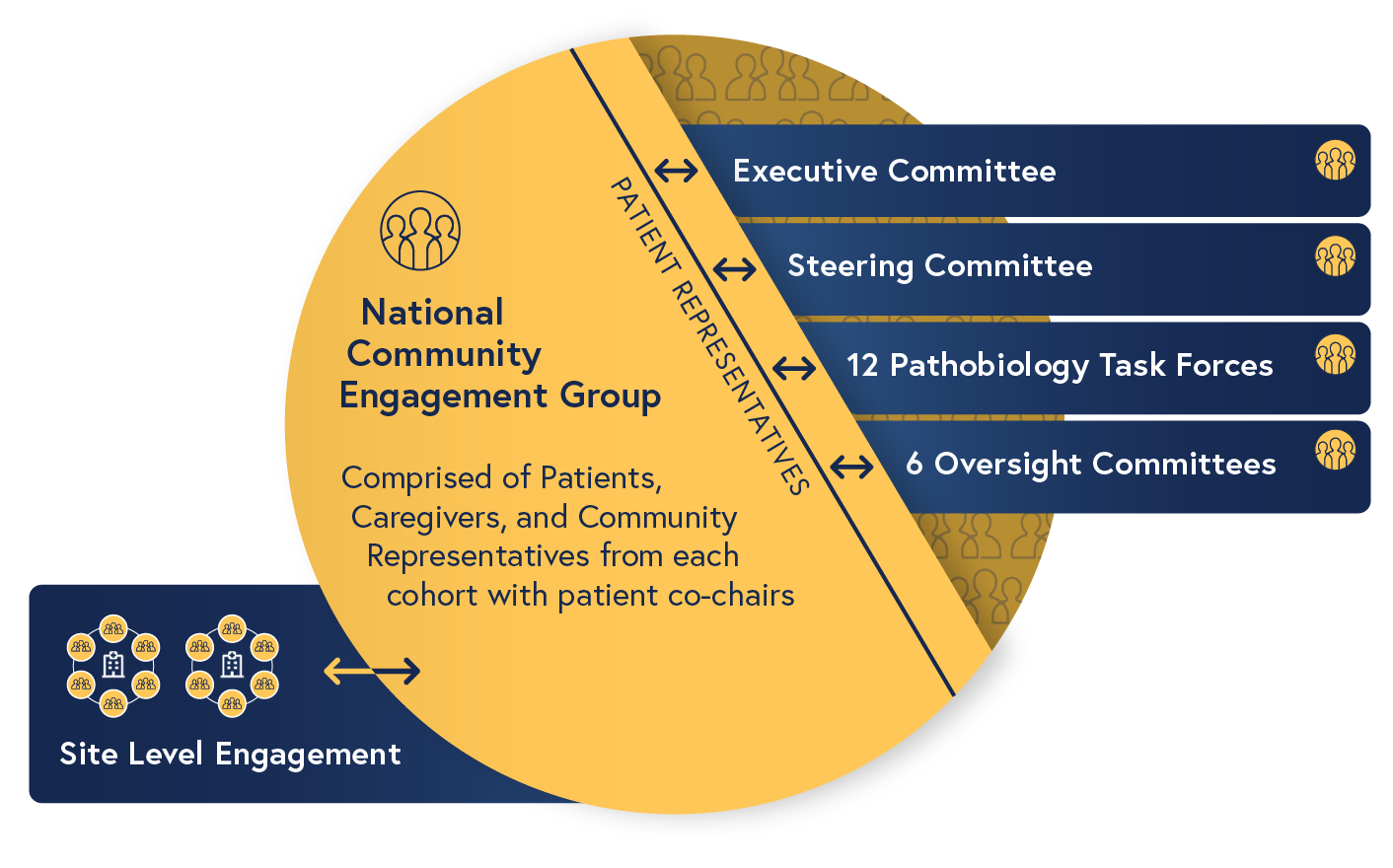 National Community Engagement Group. Made up of Patient, Caregiver, and Community Representatives from each study grouping with patient co-chairs. Site-Level Engagement interacting with NCEG. Representatives interacting with Executive Committee, Steering Committee, 12 Pathobiology Task Forces, and 6 Oversight Committees.