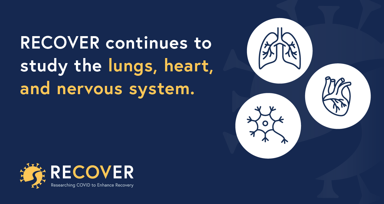 Card with icons of lungs, heart, and nerves with text: RECOVER continues to study the lungs, heart, and nervous system.
