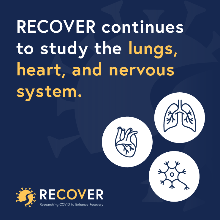Blue graphic that reads "RECOVER continues to study the lungs, heart, and nervous system".